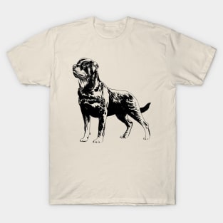 rottweiler portrait T-Shirt